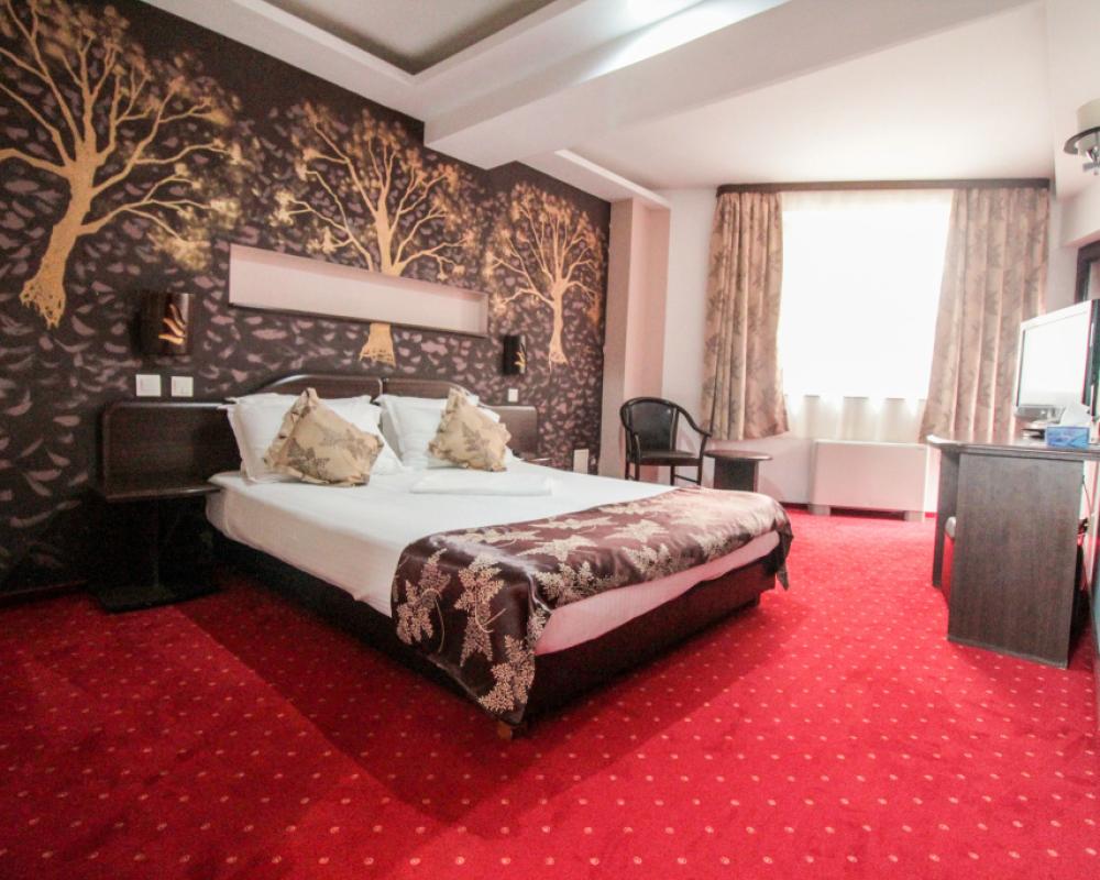 фото Hotel Razvan