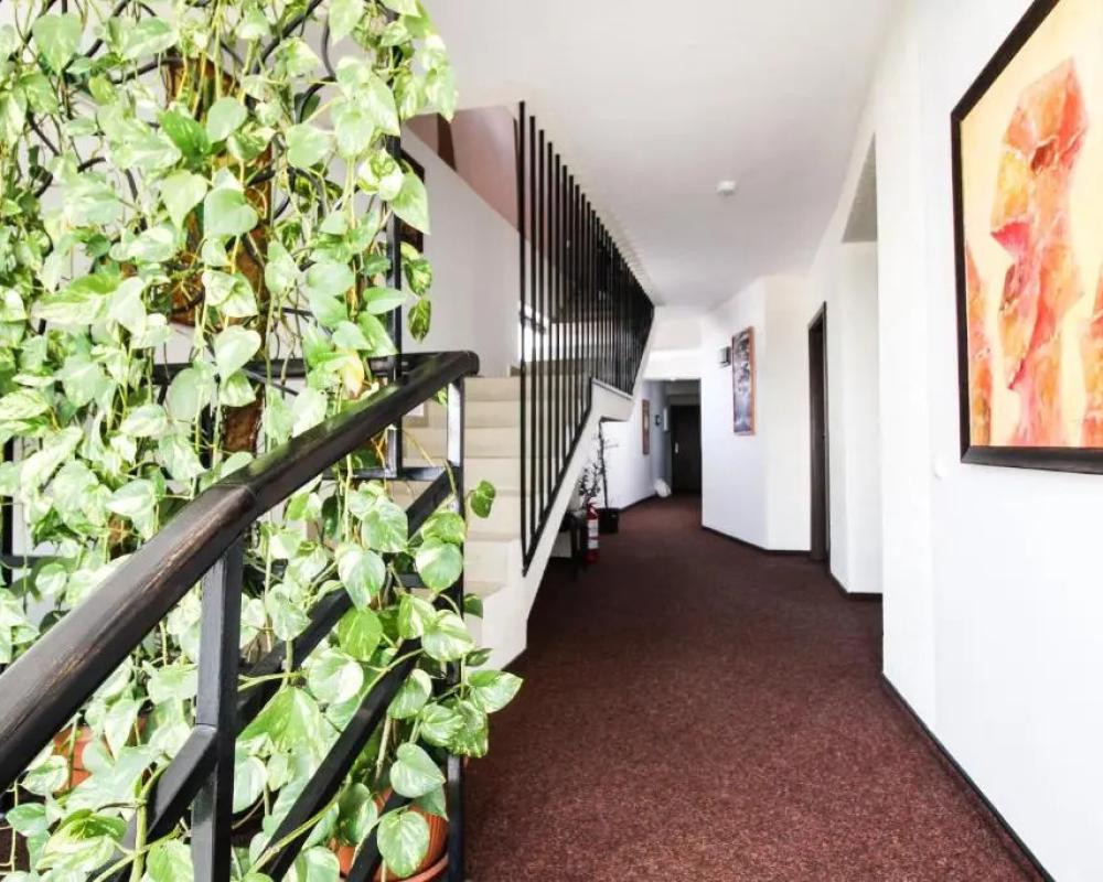 фото Hotel Razvan