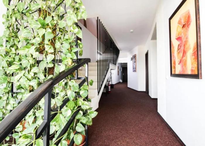 Hotel Razvan