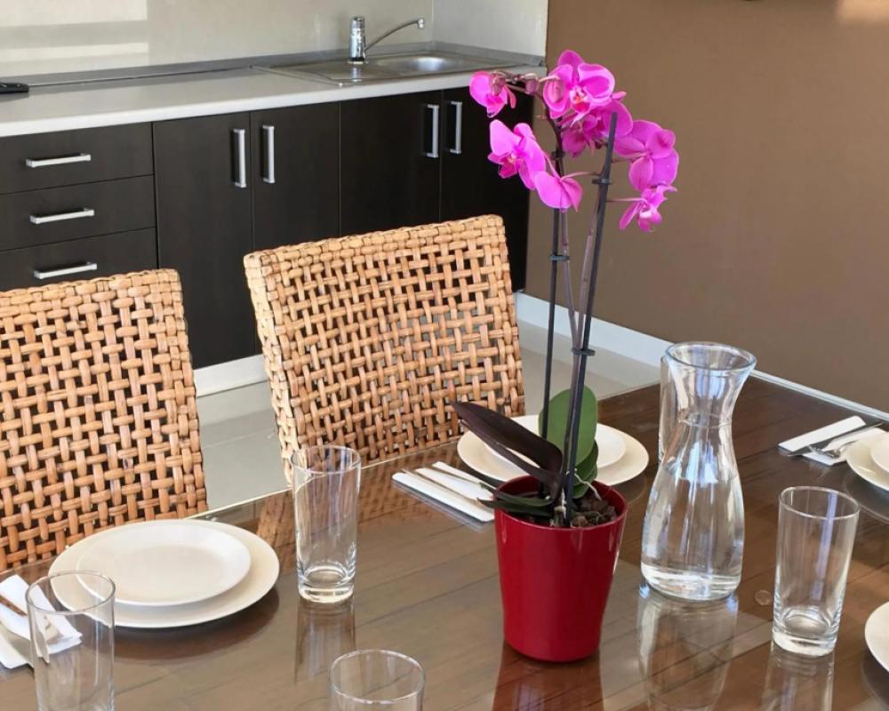фото Elysium Accommodation