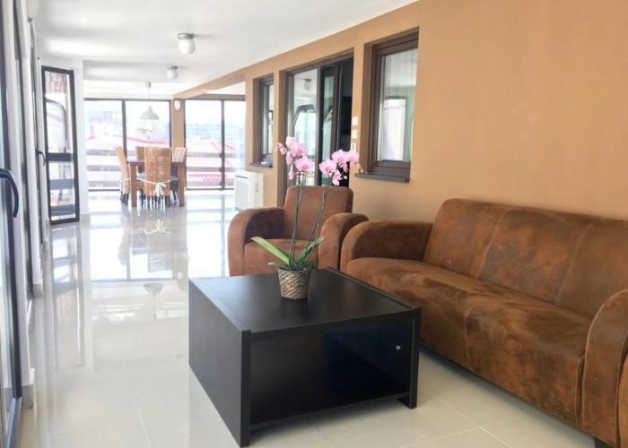 Elysium Accommodation