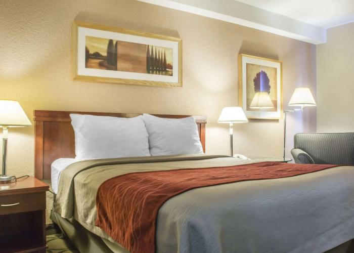 Comfort Inn London - Wellington Road