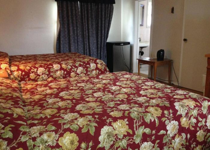 American Plaza Motel