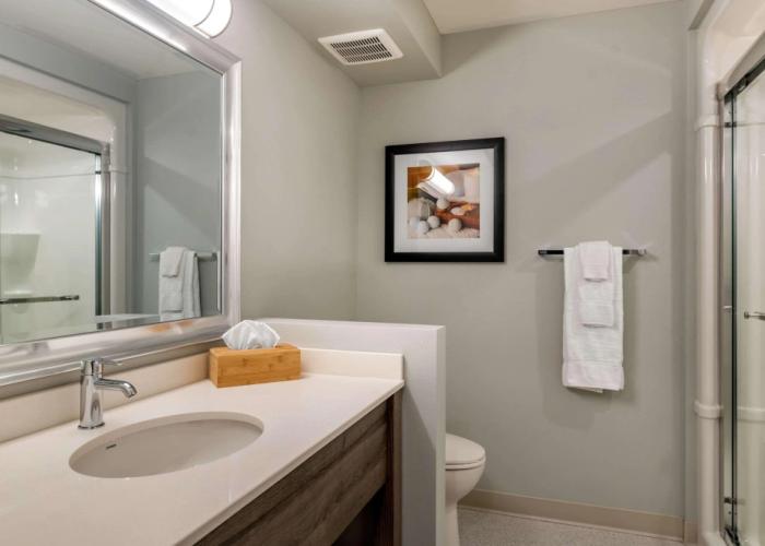 Quality Inn & Suites Amsterdam