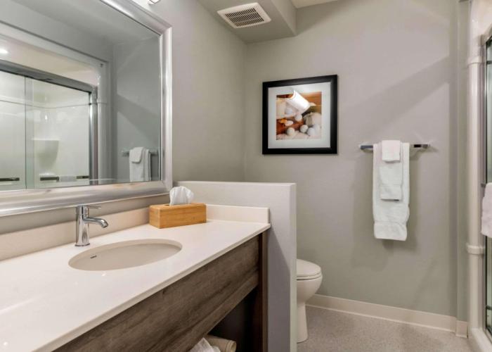 Quality Inn & Suites Amsterdam