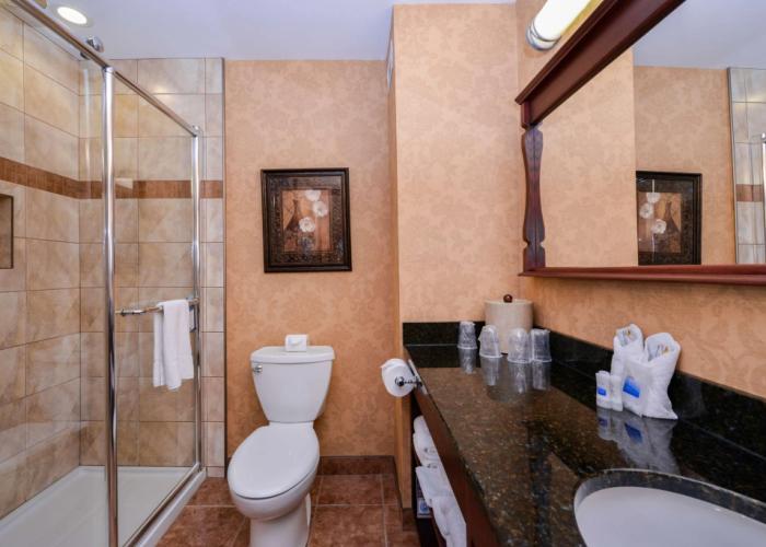Best Western Plus Fredericton Hotel & Suites