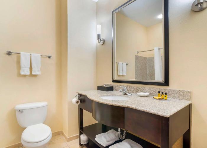 Best Western Plus Flowood Inn & Suites