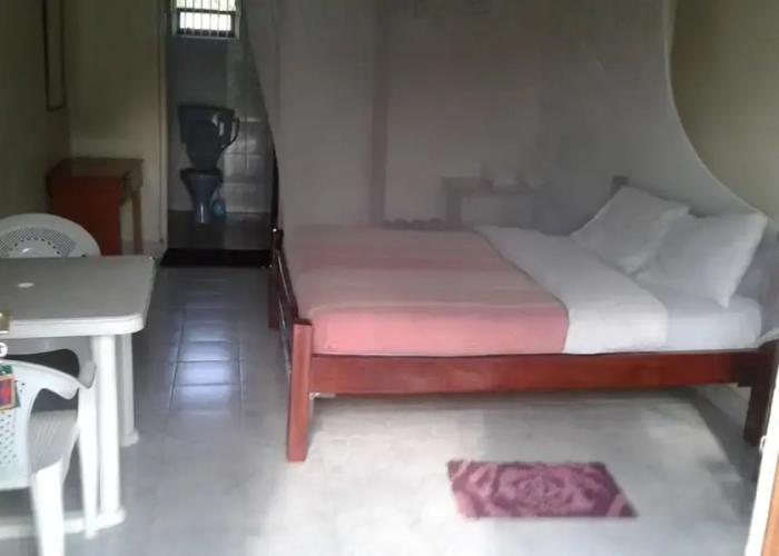 Cactus Eco Camp and Lodge