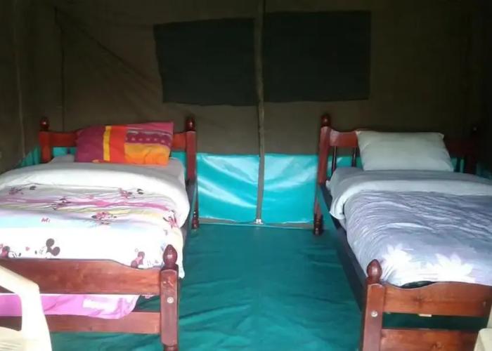 Cactus Eco Camp and Lodge