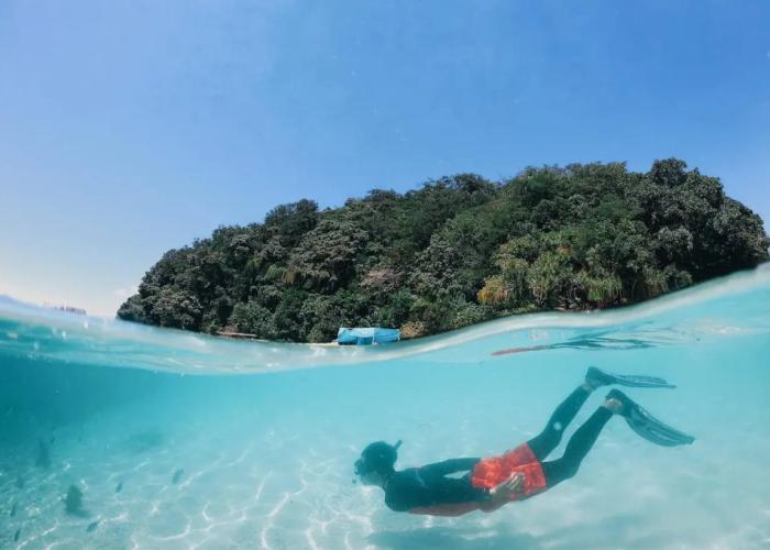 Usukan Cove Lodge