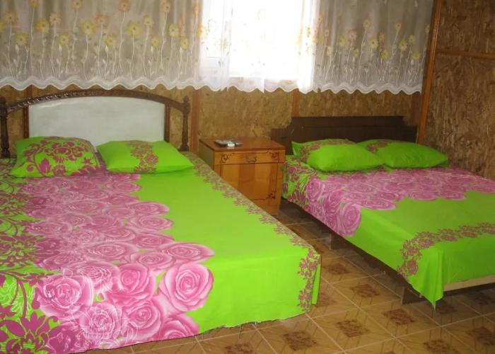 Guest house Alisa