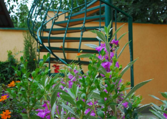 Pansion Kafa Mini Hotel
