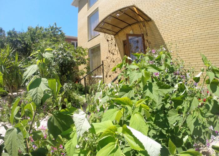 Gorlitsa Guest house
