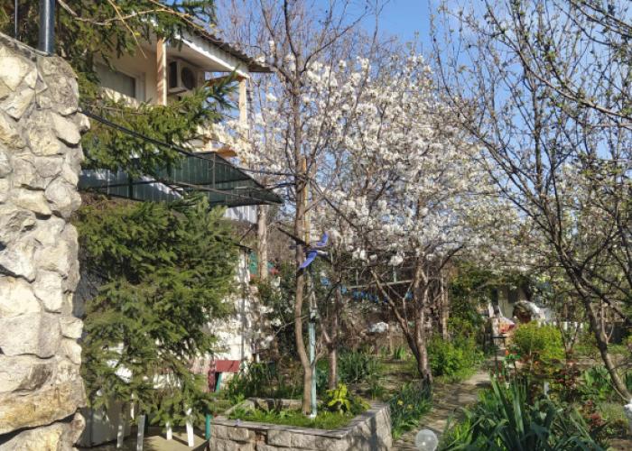 Celica Guest house