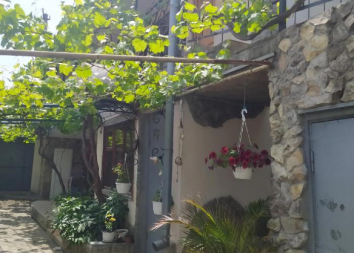 Celica Guest house