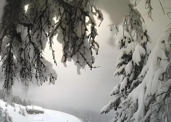 Albergo Aprica Garni
