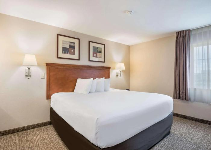 Suburban Studios Waterloo