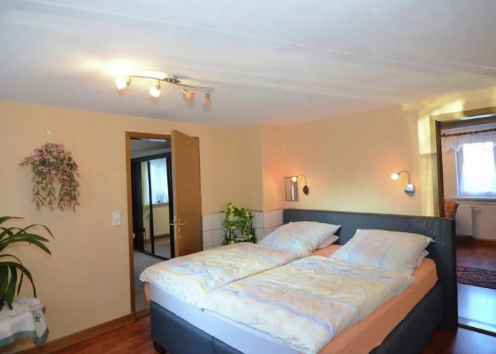 Holiday Home in Neustadt am Rennsteig With Pond