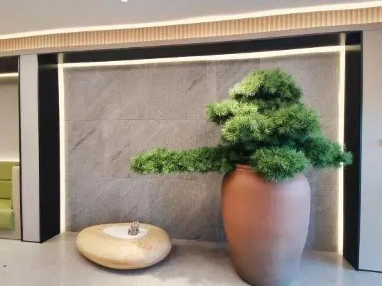 Ji Hotel Jiaozuo City Government Store