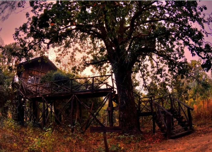 Pugdundee Safaris- Tree House Hideaway