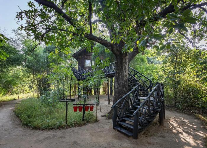 Pugdundee Safaris- Tree House Hideaway