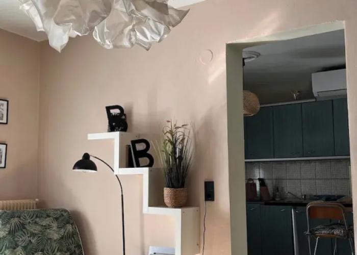 Mosquito Guest House 2