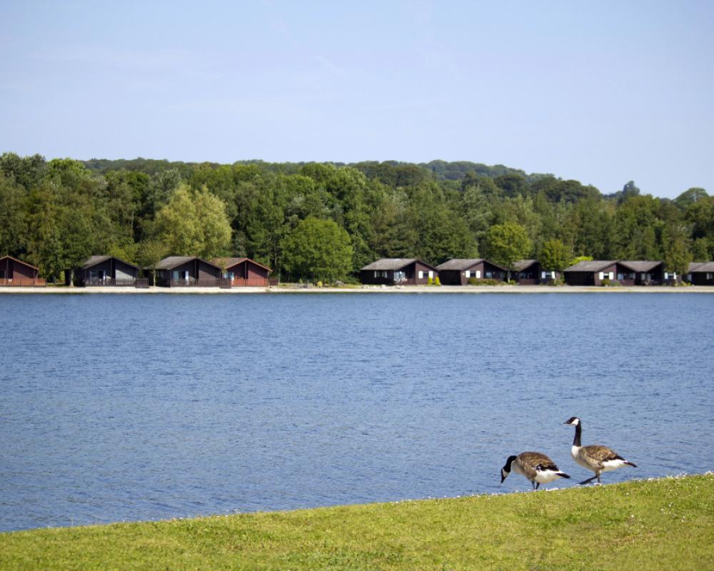 фото Pine Lake Resort