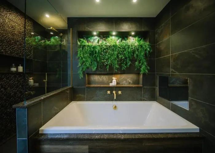Absoluxe Suites
