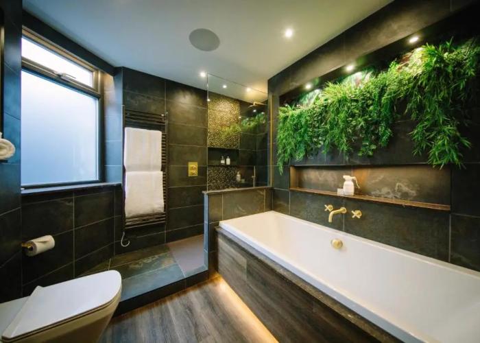 Absoluxe Suites