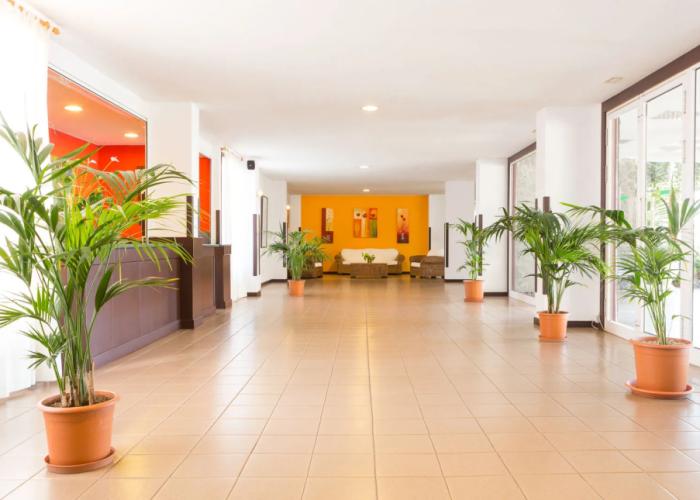 Apartamentos Centro Cancajos