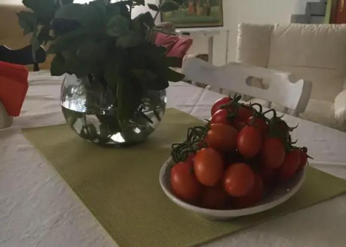 BeB il Pomo D'Oro