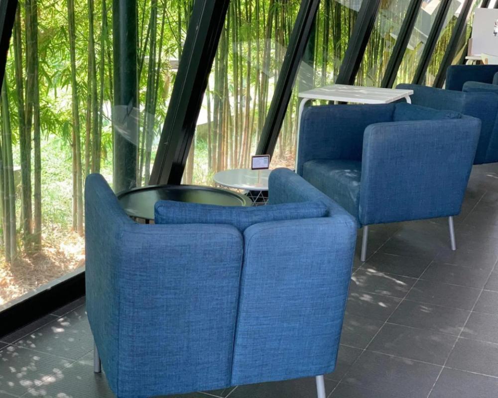 фото Green At Buriram