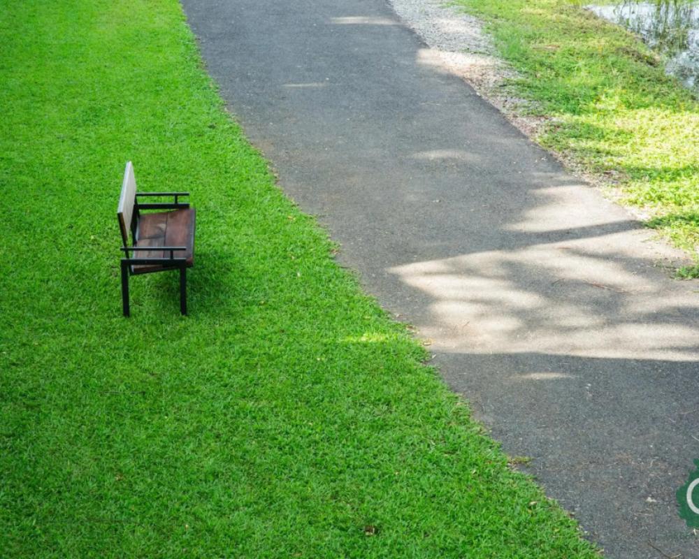 фото Green At Buriram