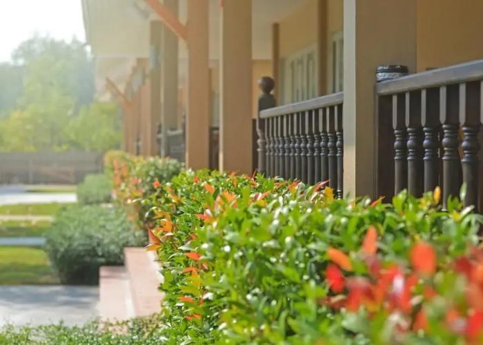 Scent Of Sukhothai Resort