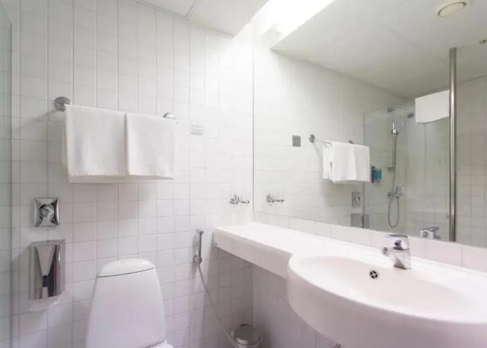 Asa Spa Hotel