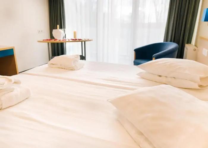 Asa Spa Hotel