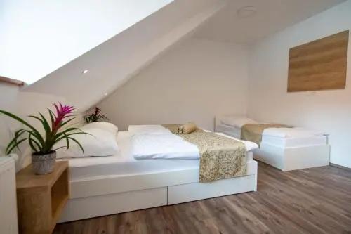 Guesthouse Stari Mayr