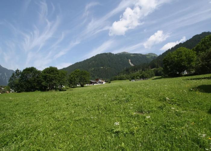 Apartment in Sankt Gallenkirch With Terrace