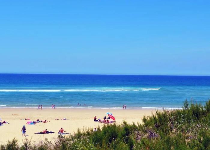 Résidence Nemea Le Domaine Des Dunes