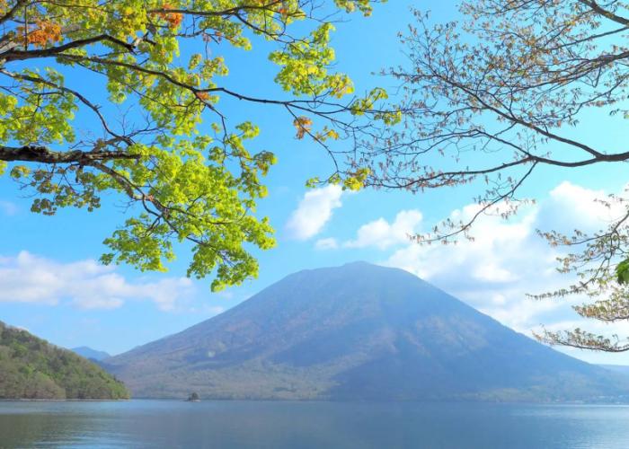 Okunikko Park Lodge Miyama