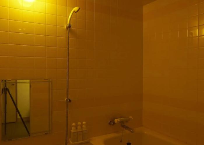 Kinugawa Onsen Sanraku