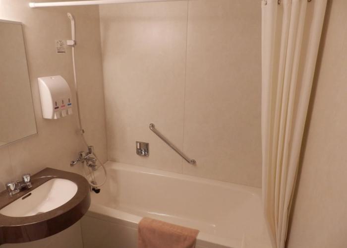 Nikko Station Hotel Classic