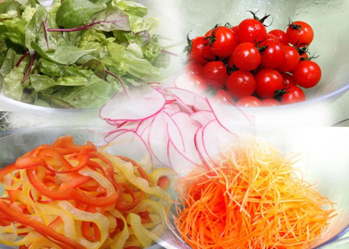 Okunikko Konishi Hotel