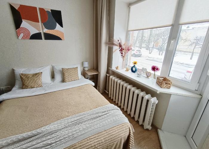 V Tsentre Petergofa Apartments