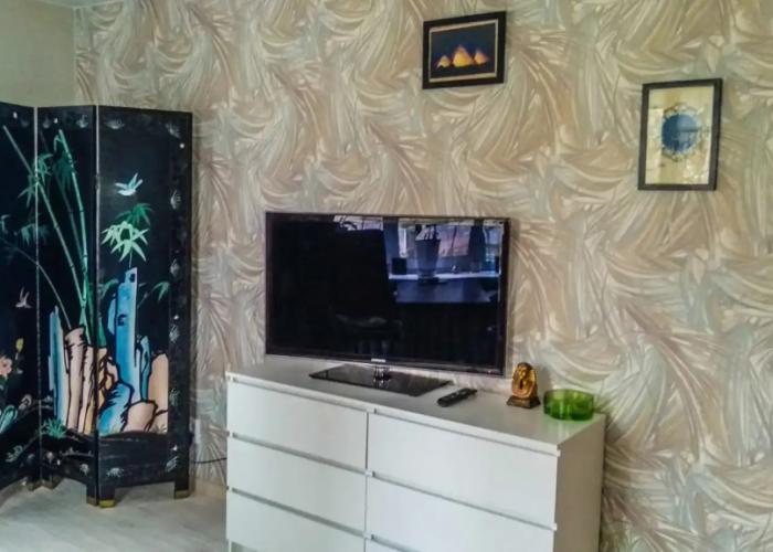 V Petergofe posutochno Flat