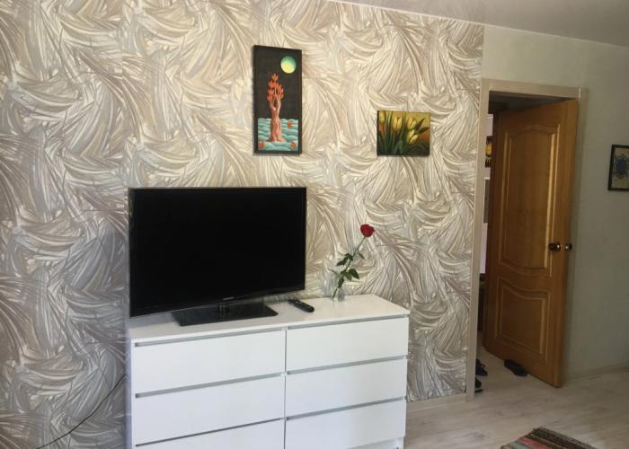 V Petergofe posutochno Flat
