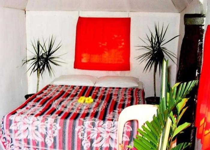 Dave Parker's Eco Lodge