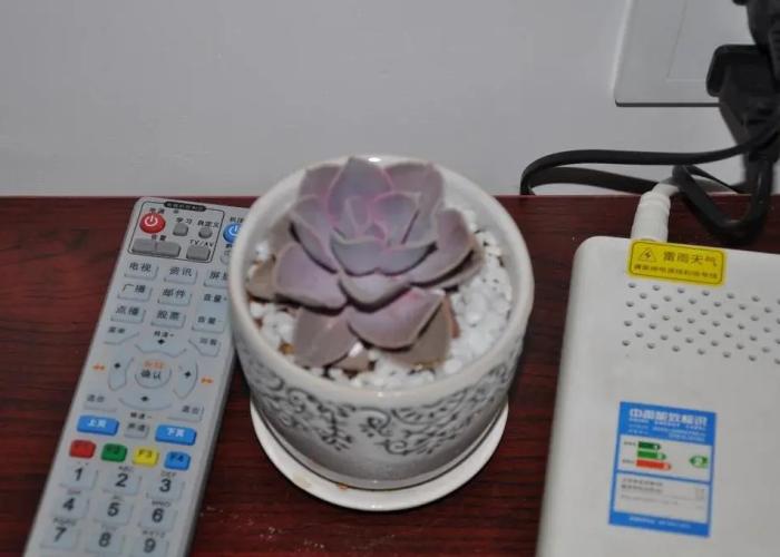 Xiangshan Xingyue Guest House