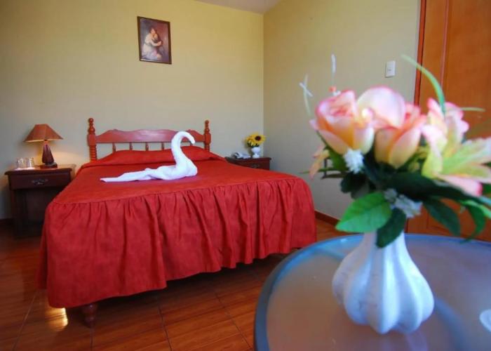 Hotel Alegria Nasca