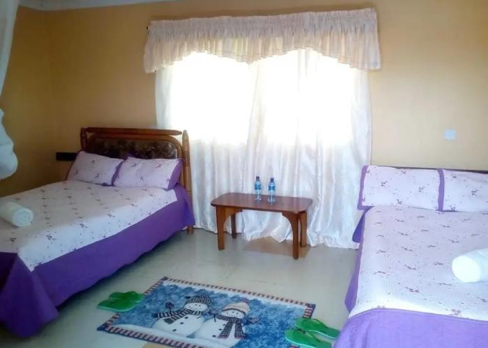 Racecourse Inn Hotel